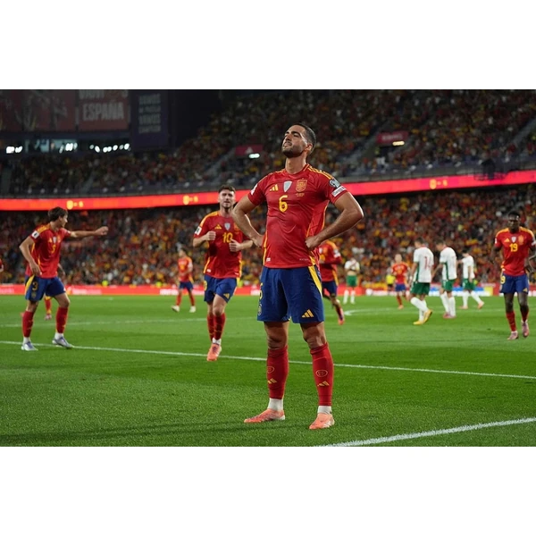 品牌诞生 - 品牌成立元年,获得欧洲权威机构认证,正式开始全球化运营。