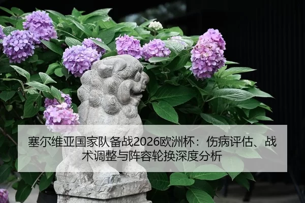 塞尔维亚国家队备战2026欧洲杯：伤病评估、战术调整与阵容轮换深度分析