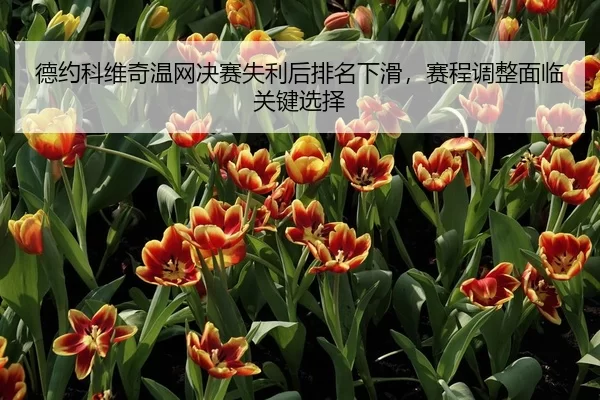 德约科维奇温网决赛失利后排名下滑，赛程调整面临关键选择